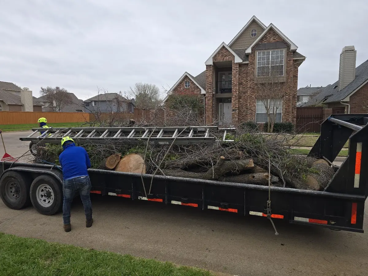 Expert Tree Pest Control with proper safety equipment in Osgood